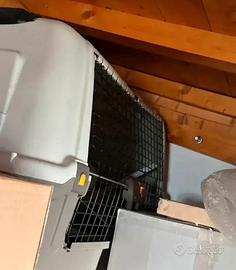 Trasportino da auto per cane grande.