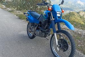 xt 600 3tb