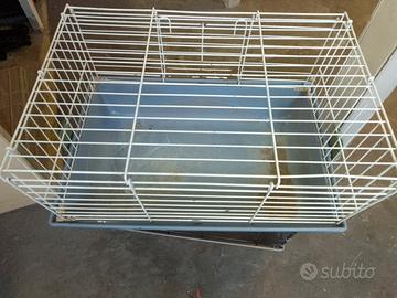 gabbie per conigli