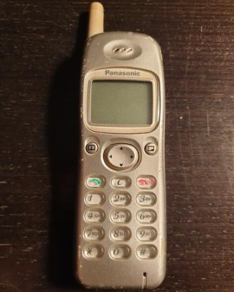 PANASONIC EB-GD90 - Vintage