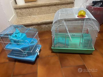 Animali