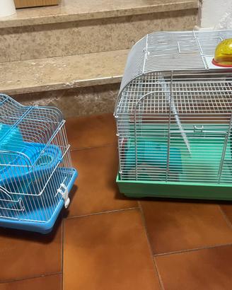Animali