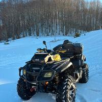 Quad Can-Am