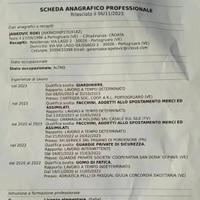 Disponibile da subito