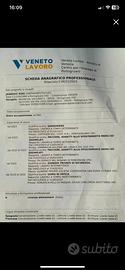 Disponibile da subito
