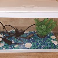 Acquario per pesci 20 litri