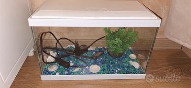 Acquario per pesci 20 litri