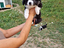 Immagine 11