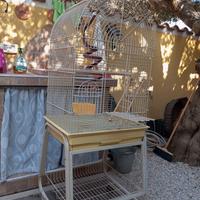 Gabbia grande per pappagalli usata.