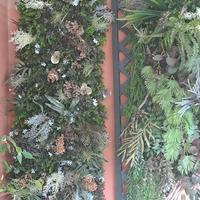 Pannelli giardino verticale