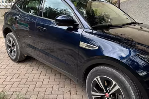 Jaguar e-face