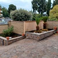 Appartamento con giardino