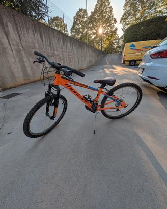 Mountain bike mtb  montana 24 pollici 