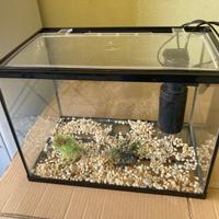 Acquario 20lt completo