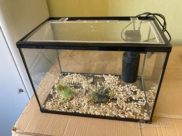 Acquario 20lt completo