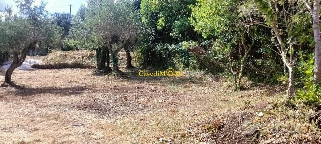 Terreno di 1480 m² a Livorno - Vista 4