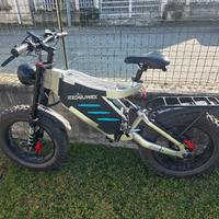 Bicicletta Elettrica RZOGUWEX 