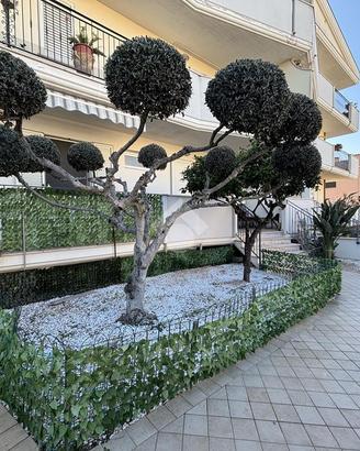 CASA SEMINDIPENDENTE A PINETO