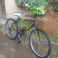 bicicletta  montain bike 26' cambio shimano