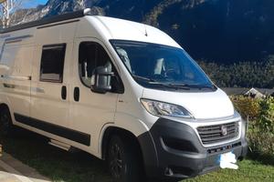 Furgonato Weinberg Carabus 6 m