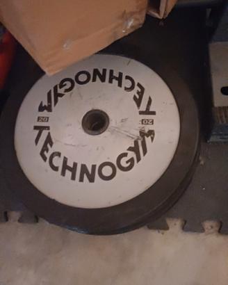 dischi 20kg technogym 