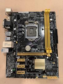 Scheda madre Asus H81M-Plus