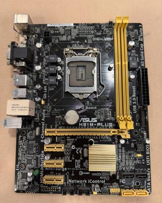 Scheda madre Asus H81M-Plus