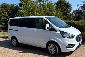 Ford Tourneo custom 1,9 td Limited Edition
