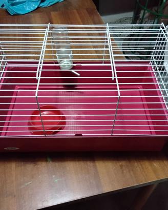 Gabbia  per conigli / porcellino d'india