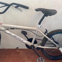 Bici da corsa