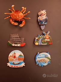 n.6 calamite da frigo