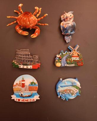 n.6 calamite da frigo