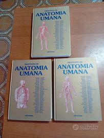 Trattato di Anatomia Umana Anastasi Vol. 1-2-3 