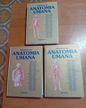 Trattato di Anatomia Umana Anastasi Vol. 1-2-3 