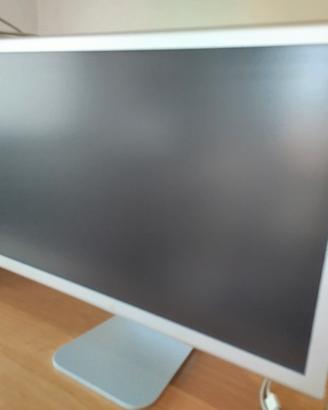 monitor Apple Cinema Display 23 pollici