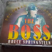 Bruce Springsteen Live e cd stanieri vari