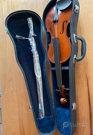 Violino