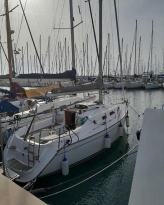 Barca a vela 8 mt natante Delphia 29 cabinata