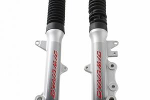 Coppia steli forcella completi Sym Shark 150 - 515