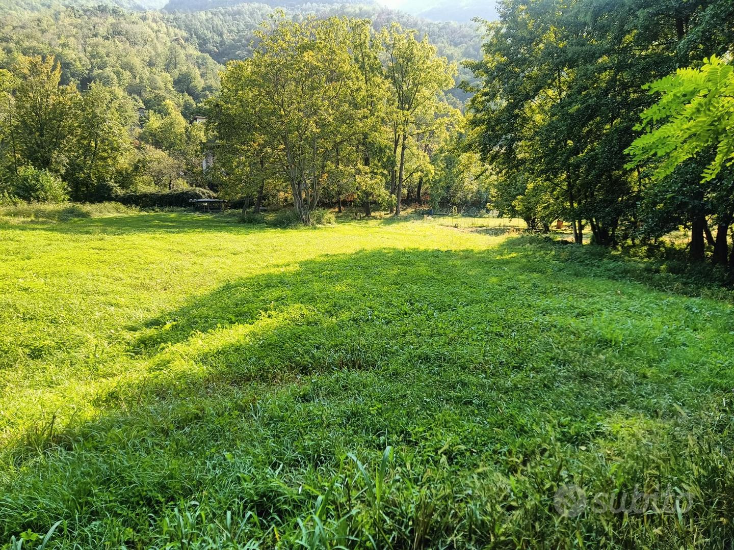 Terreno agricolo - Sant'Antonino di Susa - Vista 3