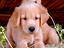 Immagine 9