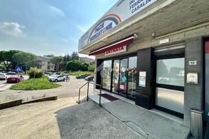 CAPANNONE A SAN PIETRO IN CARIANO