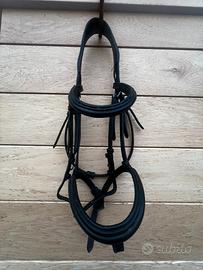 Testiera EQUIPE mis cob