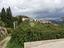 Immagine 22