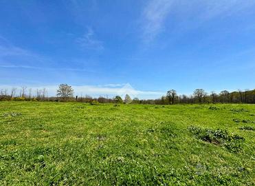 TER. AGRICOLO A MANZIANA