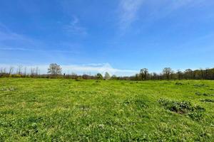 TER. AGRICOLO A MANZIANA