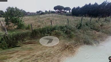 Terreno Seminativo Tragliata Campitello