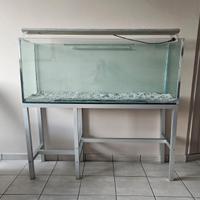 Acquario 300 litri