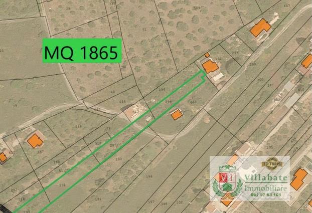 Terreno Agricolo Uliveto di mq 1865