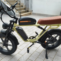 Bicicletta elettrica Engwe M1 Dual Battery